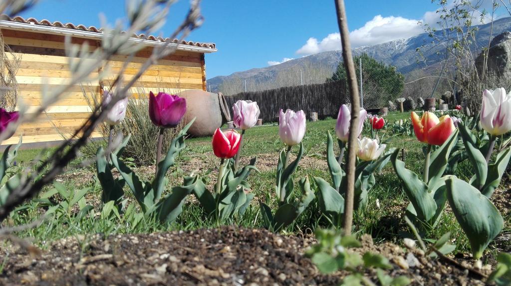 La Cabana Del Alberche Navaluenga Εξωτερικό φωτογραφία